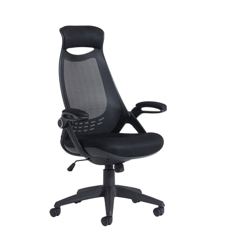 Executive & managers seating Tuscan high back mesh chair with head support